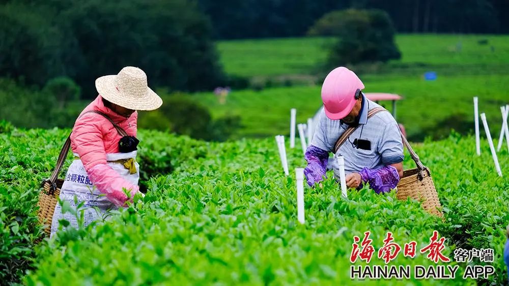 新时代 新征程3.jpg